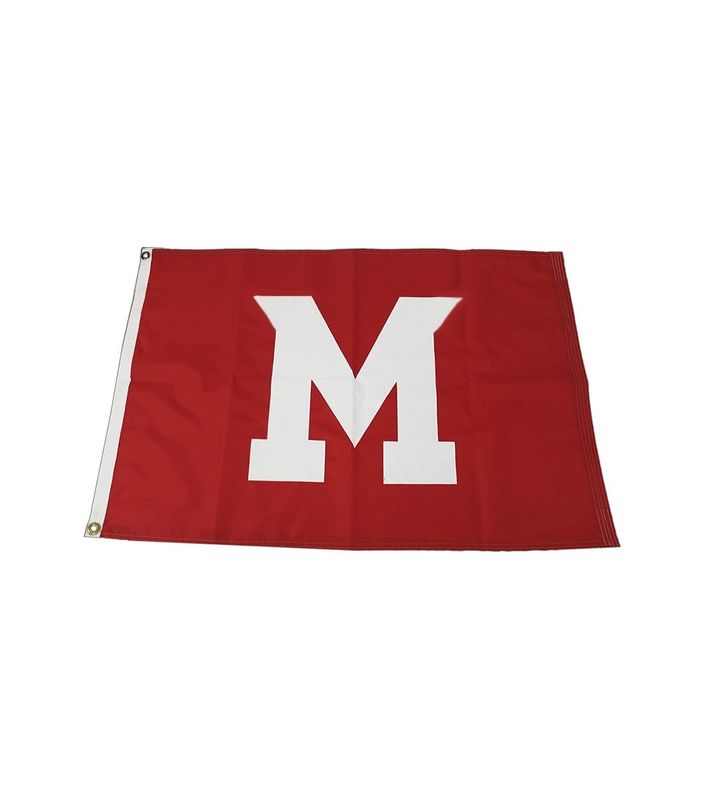 Miami 12"x20" Mini Flag