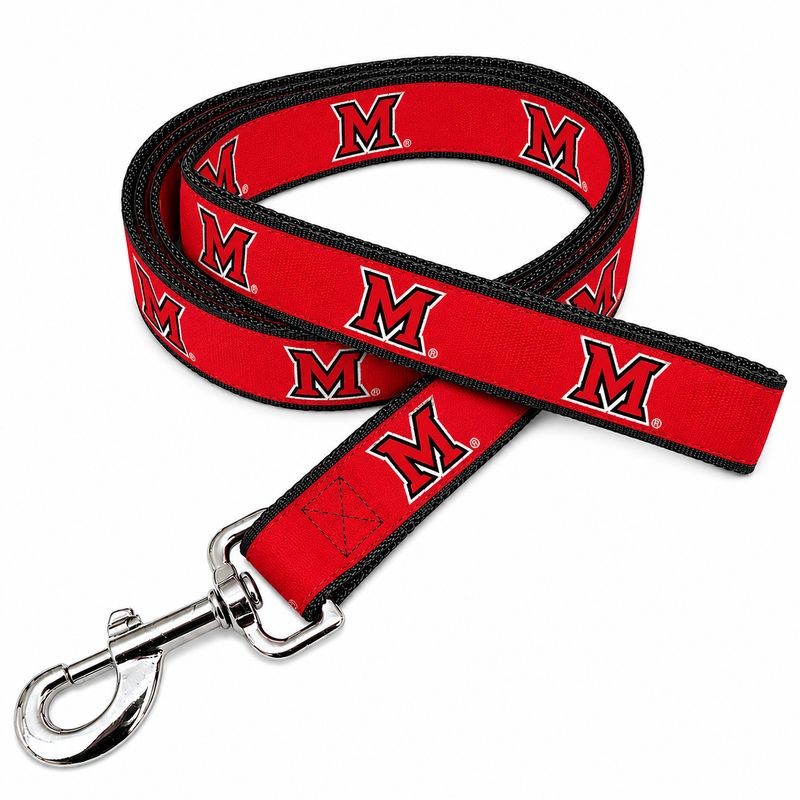 6' RED RIBBON DOG LEASH