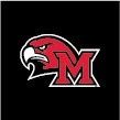 Brass Reminders Miami Univ. HawkHead/M Auto Decal - Mini, Size: MINI