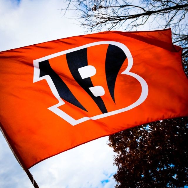 PHOTO COASTERS, Color: BENGALS FLAG