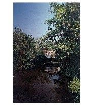 Oxford / Miami Postcard, Color: BRIDGE