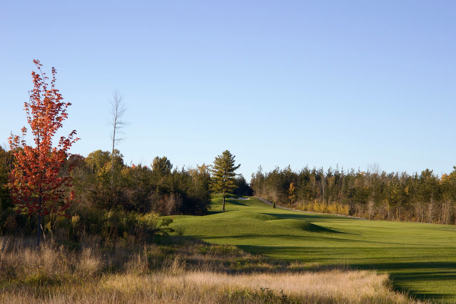 2026 10 Pack Limited North Course