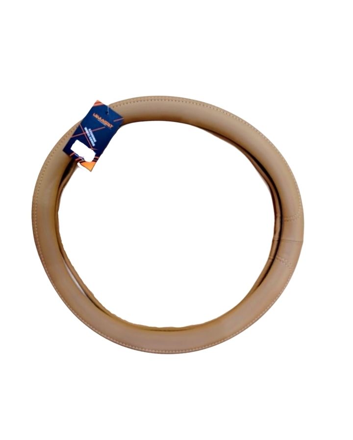 تلبيسة دركسون جلد بيج