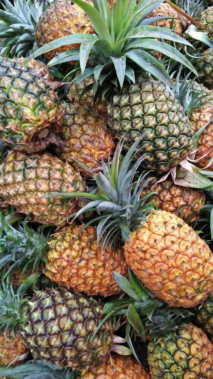 Ananas Średni 1szt.