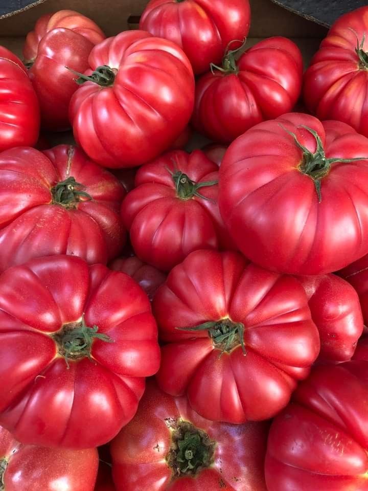 Pomidor Malinowy 1kg