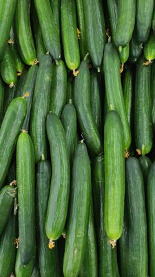 Ogórek Szklarniowy 1kg