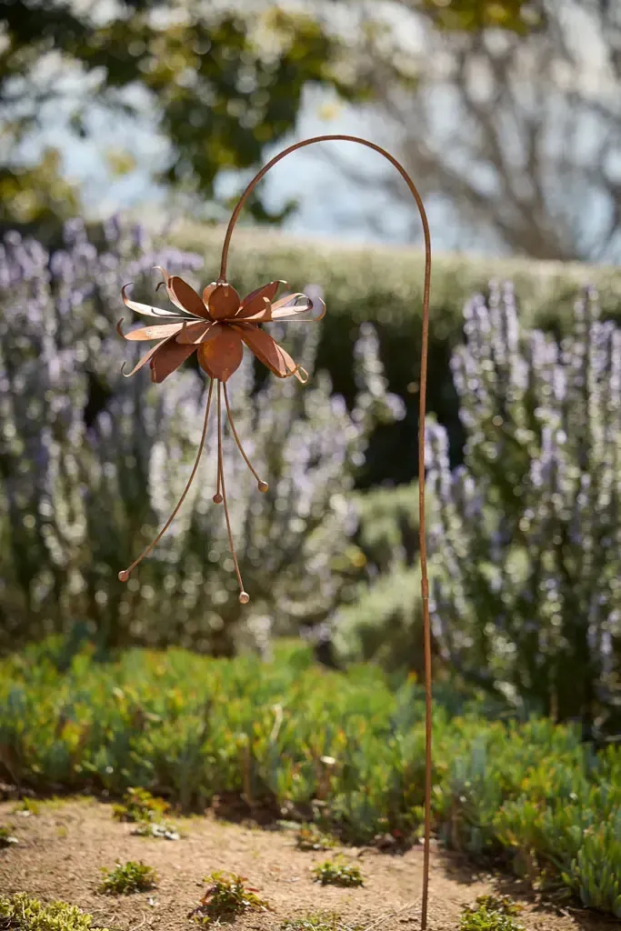 Rusty Fuchsia Stakes