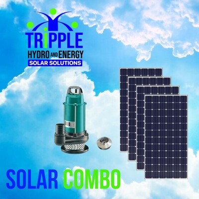 LEO QDX25-1.3 DC Solar Submersible Pump Combo LEO QDX25-1.3 DC Solar Submersible Pump Combo