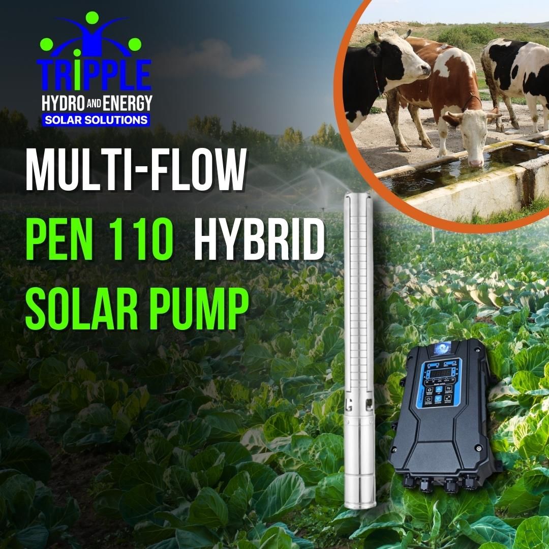 Multi-Flow Pen110 Hybrid Solar Pump (DC &amp; AC)