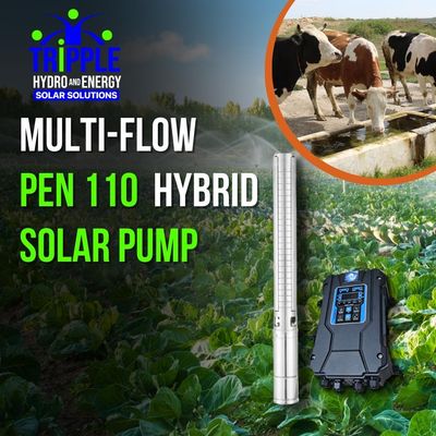Multi-Flow Pen110 Hybrid Solar Pump (DC & AC) Multi-Flow Pen110 Hybrid Solar Pump (DC & AC)