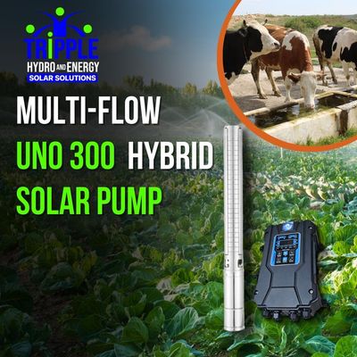 Multi-Flow Uno300 Hybrid Solar Pump (DC & AC) Multi-Flow Uno300 Hybrid Solar Pump (DC & AC)