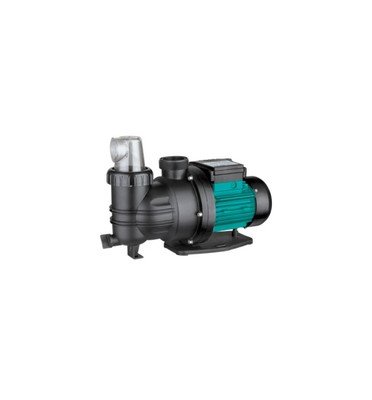 Pool Pumps
