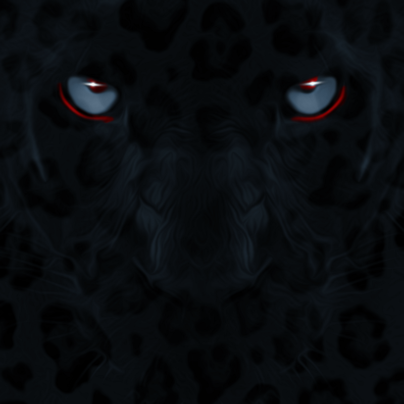 black-cat-series