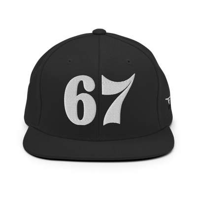 SIX SEVEN 6 7 Snapback Hat