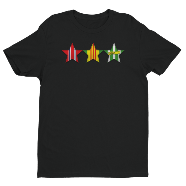 VIETNAM VETERAN 3 STARS Short Sleeve T-shirt