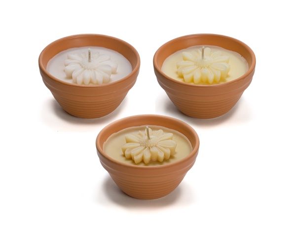 Outdoor Flower Bowl - Sunflower