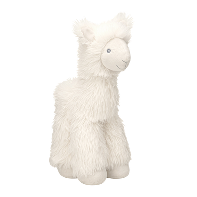 Lama Levi no.1