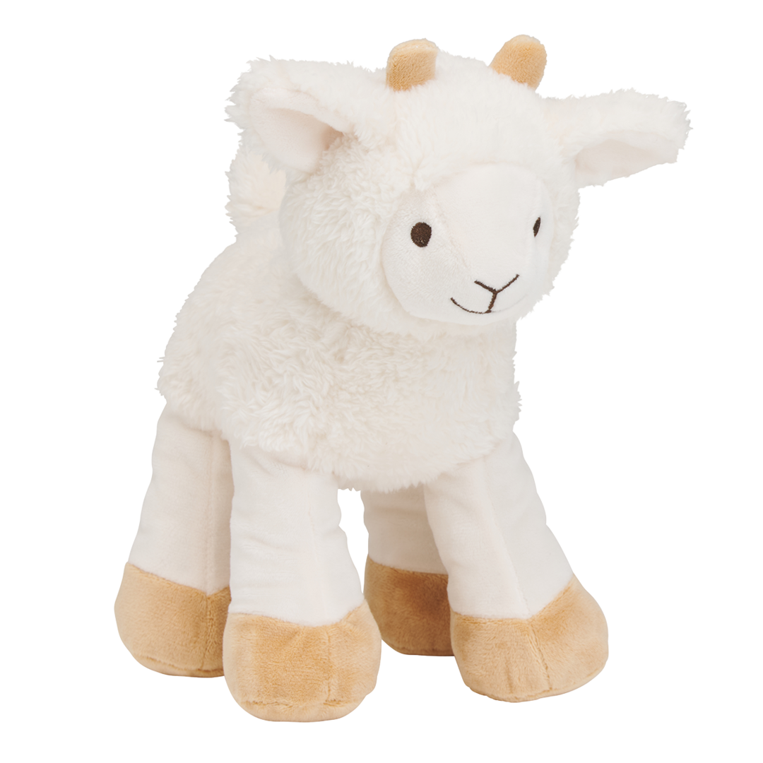 Churro sheep no.2