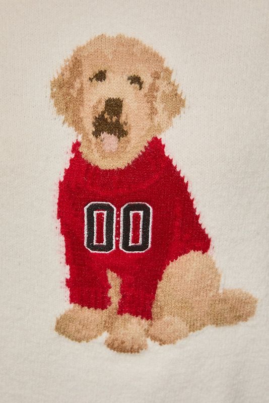 DOG GAME DAY SWEATER