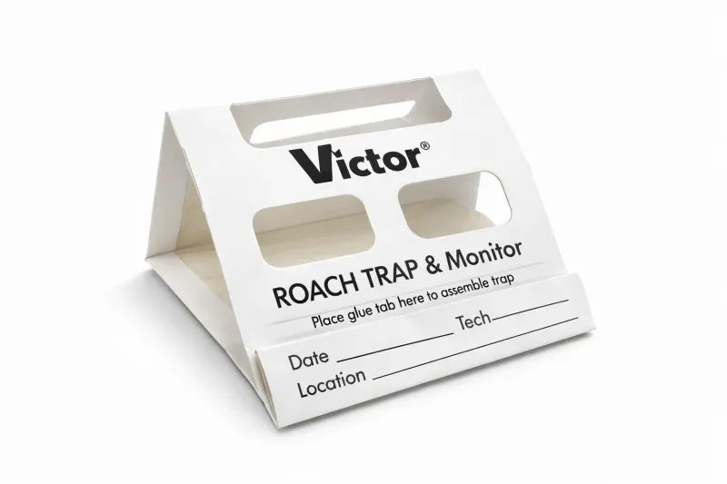 Pièges détecteurs d'insectes sans insecticide - Lot de 5