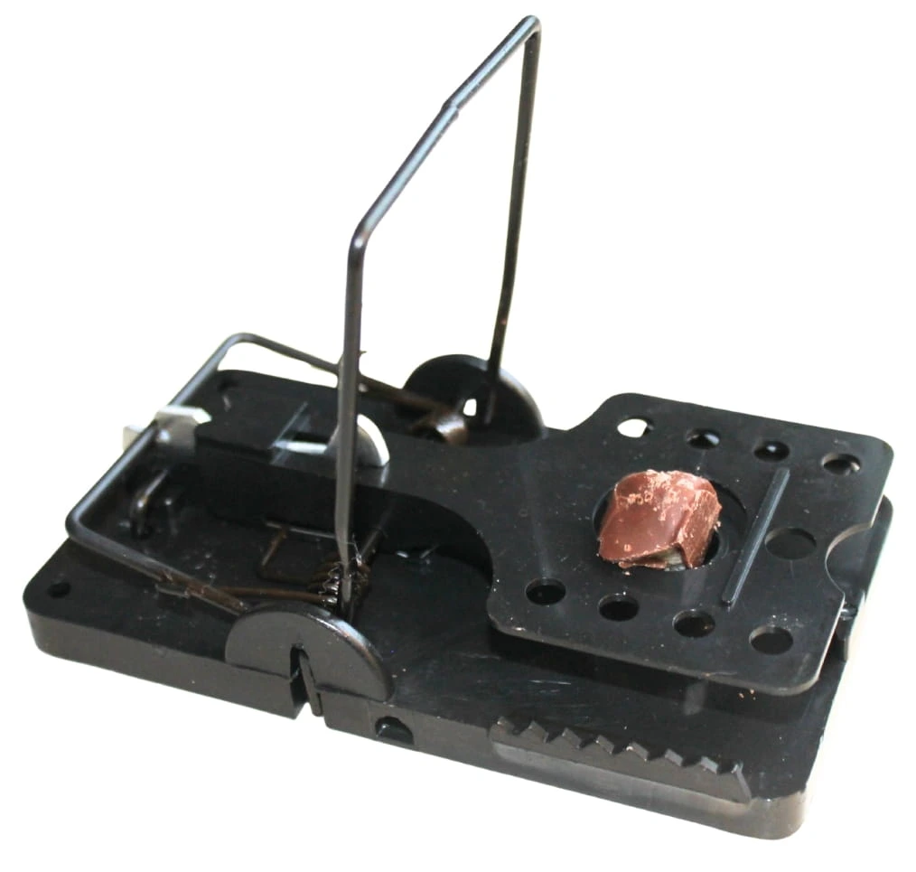 Tapette à rats à ressort Easy Set - À l'unité