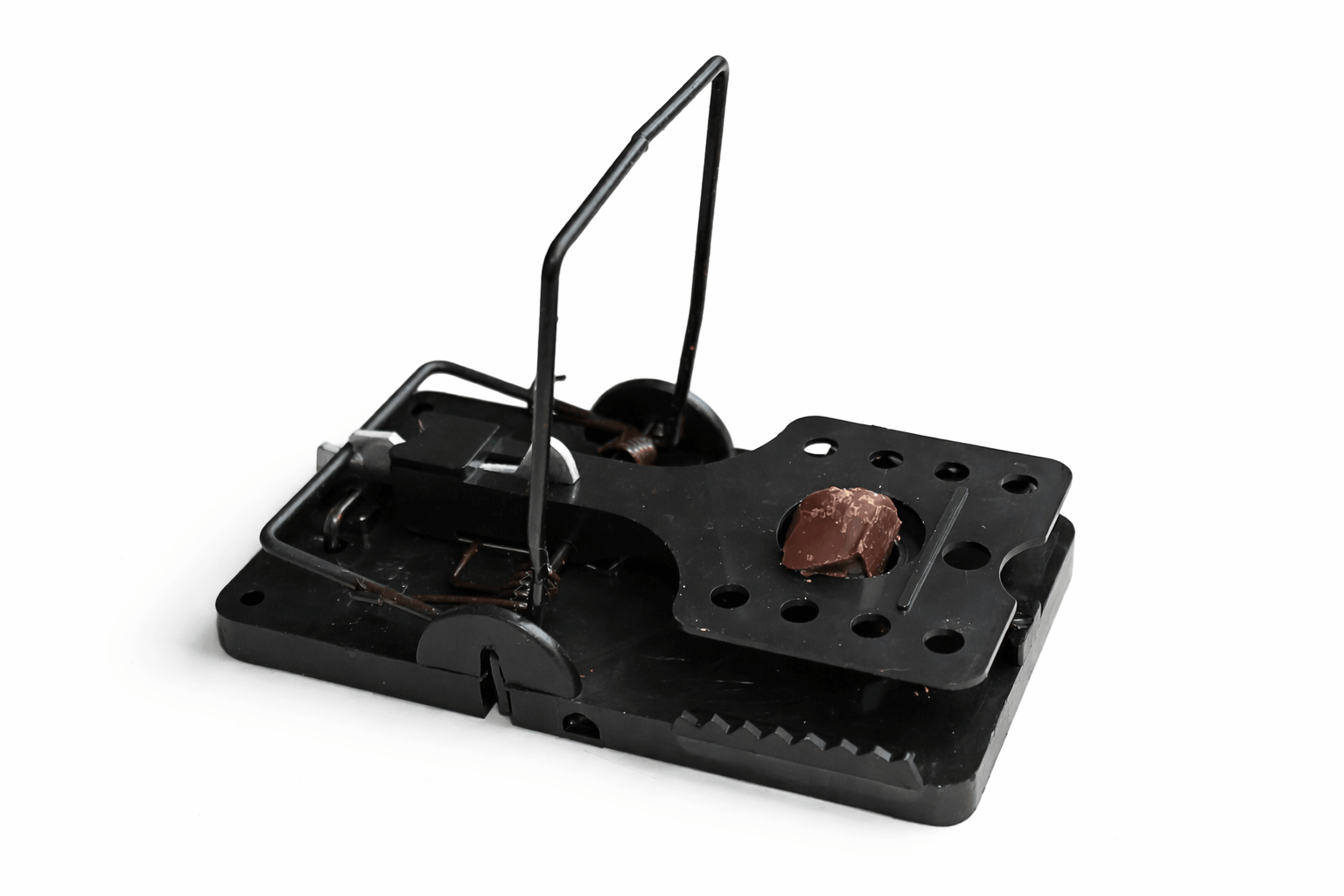 Tapette à rats à ressort Easy Set - À l'unité