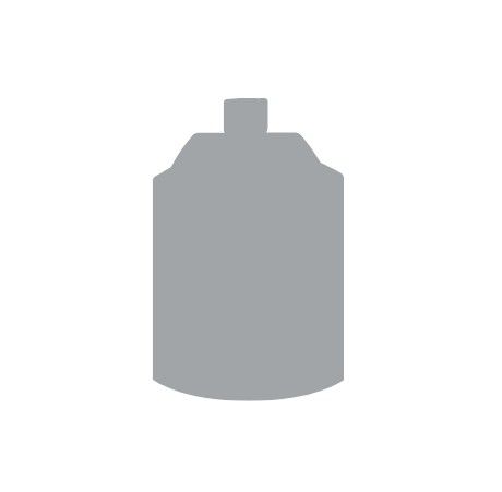 Grey Seer Spray Paint