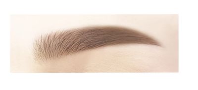 Sana New Born Eyebrown 03