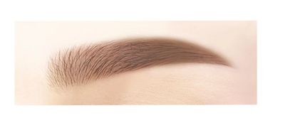 Sana New Born Eyebrown 03