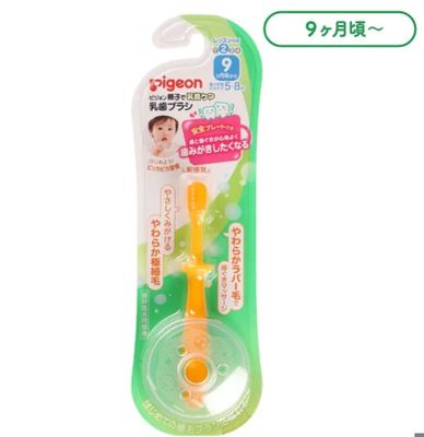 Pigeon Baby Toothbrush Section 2