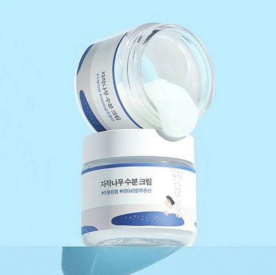 Round Lab Birch Juice Moisturizing Cream Round Lab Birch Juice Moisturizing Cream