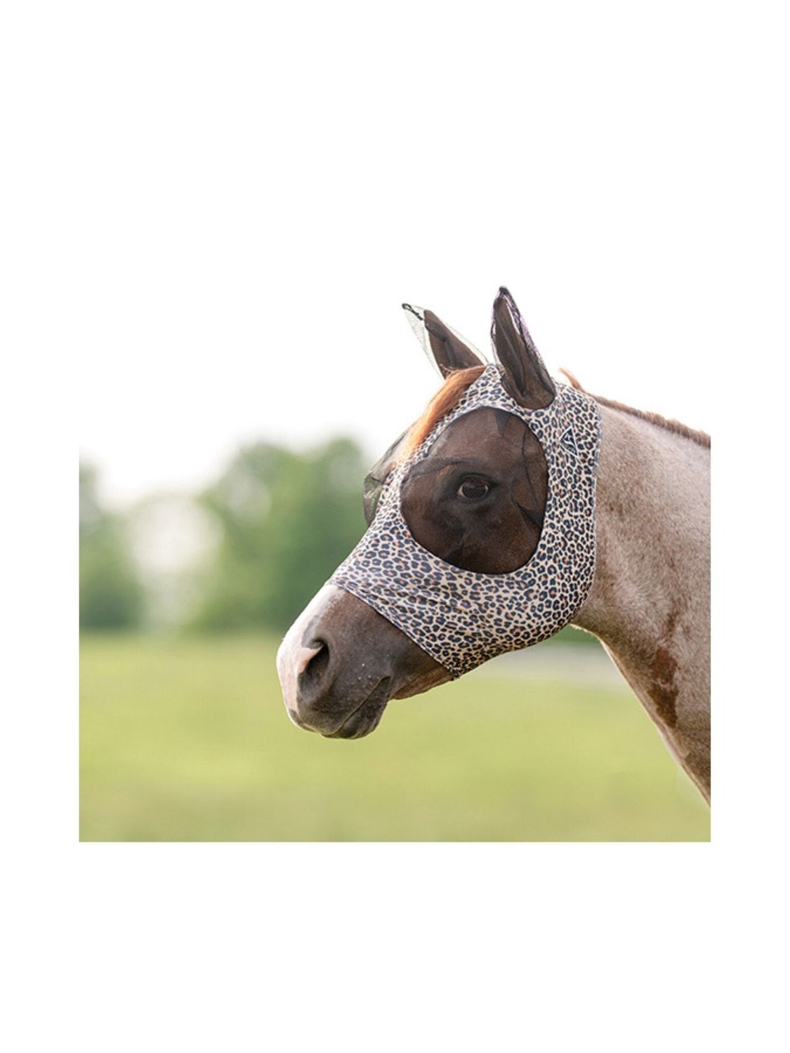 Comfortfly Lycra Mask