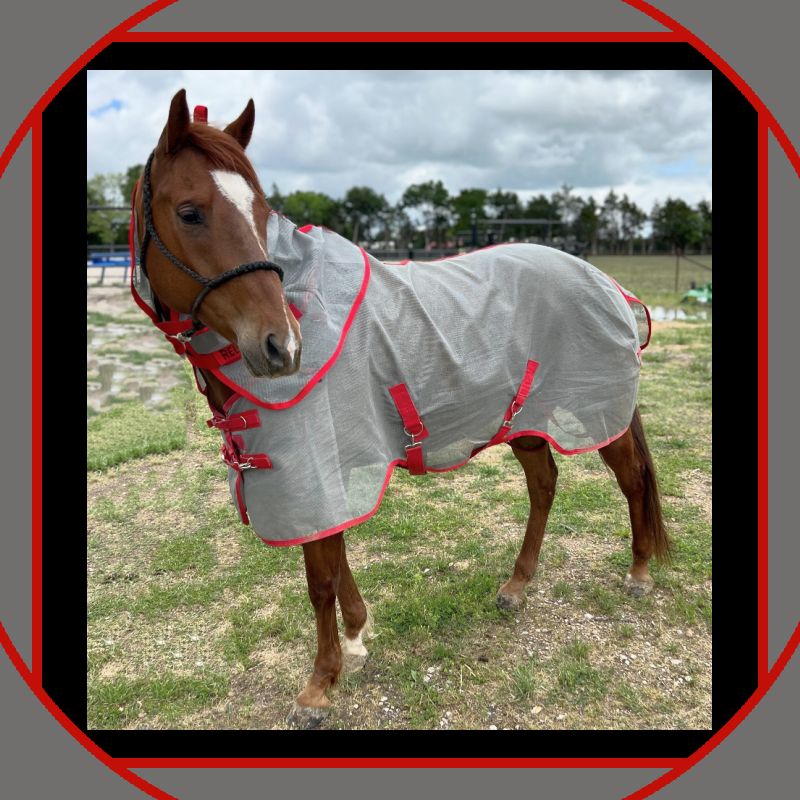 Fly Sheet w/Neck Cover