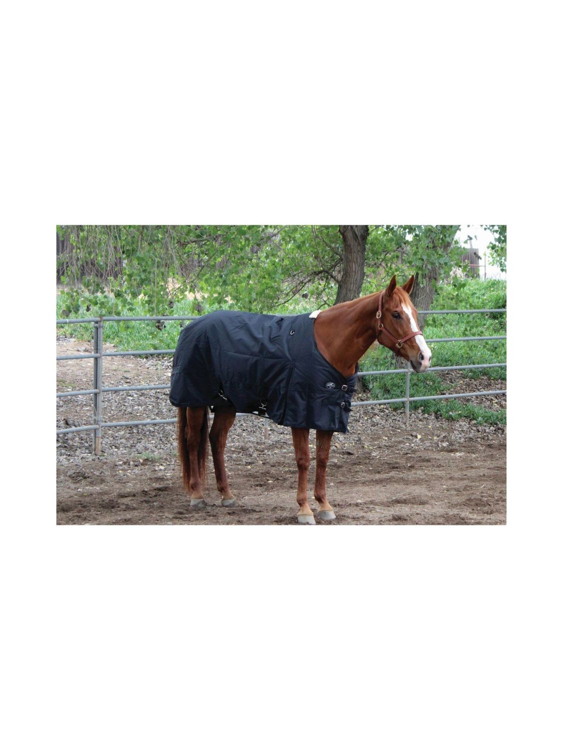 1200D Winter Blanket