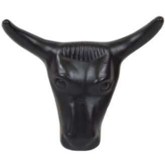 Steer Head 