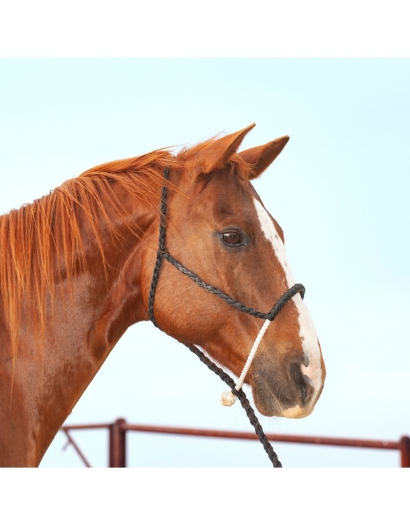 Halter Rope Nose w/lead, Color: Black