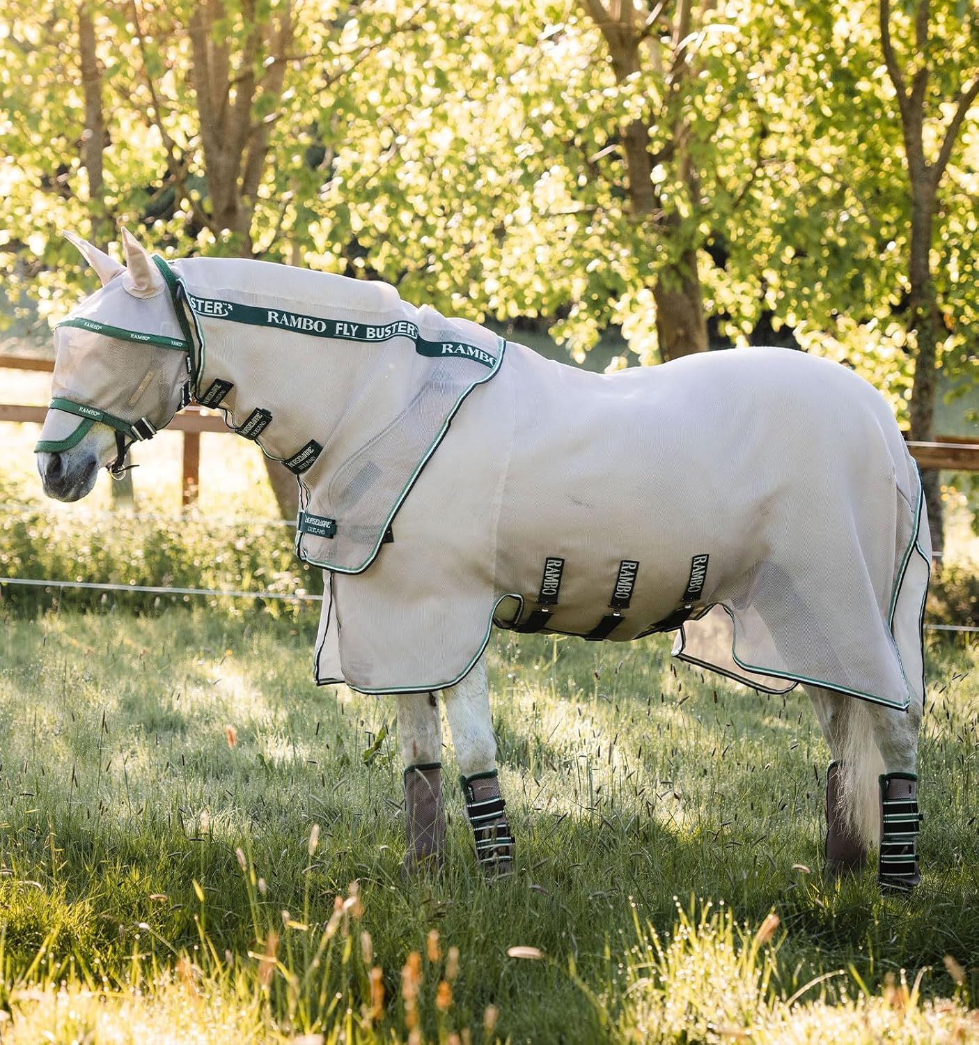 Flybuster w/No-Fly Zone, Size: 69