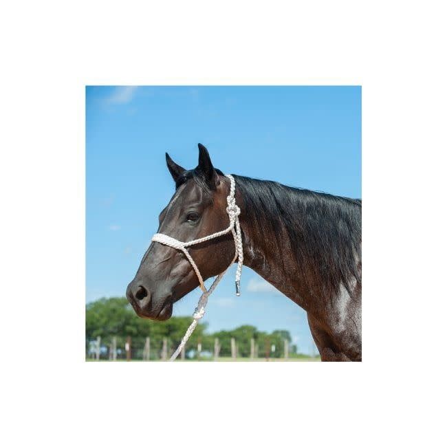 Flat Braid Halter w/9' Lead, Color: White