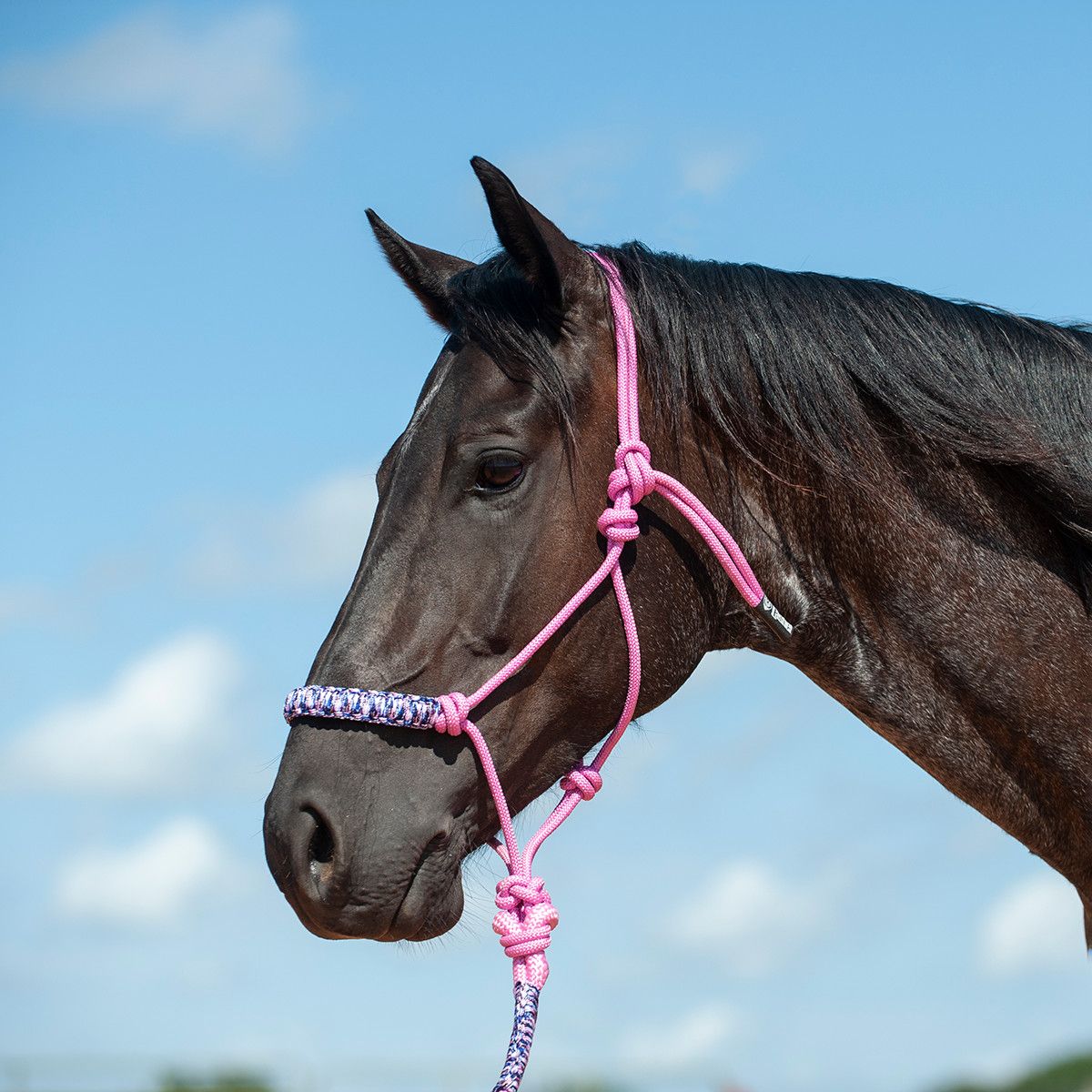 Braided Nose Rope Halter, Color: Pink Camo
