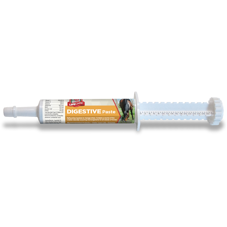 DIGESTIVE HEALTH (Paste)