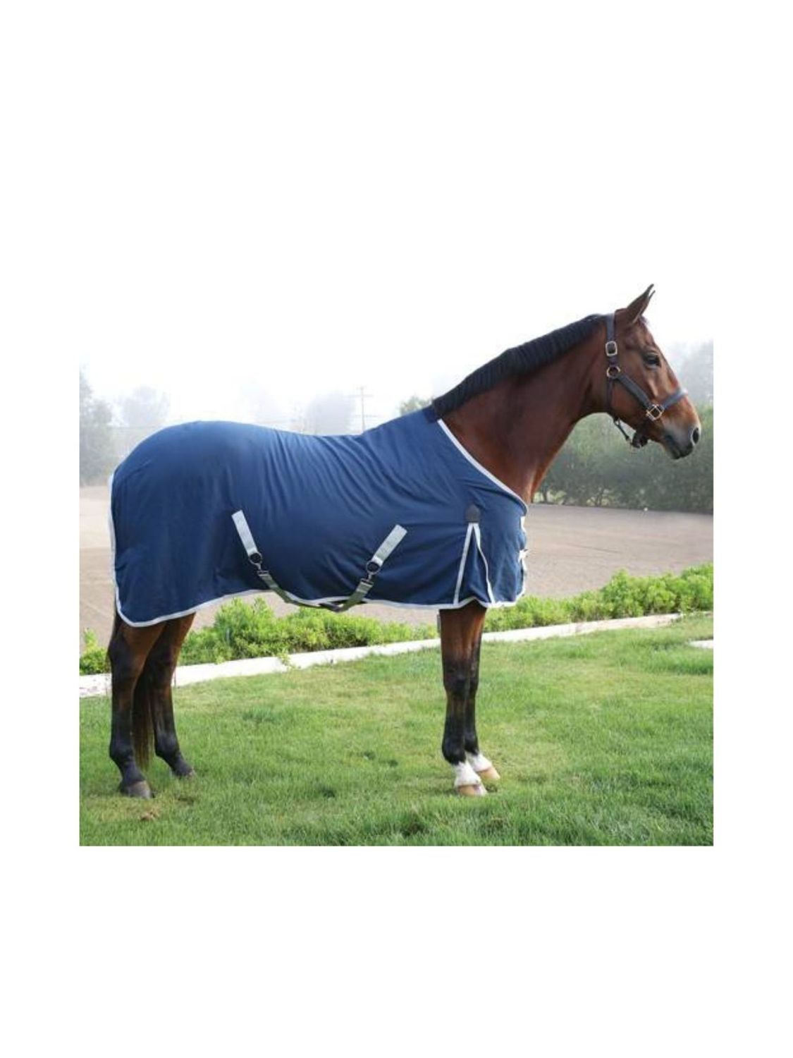 Day Sheet Cotton 78 Nav/Sil