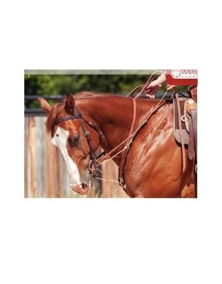 Martingale Split Rein