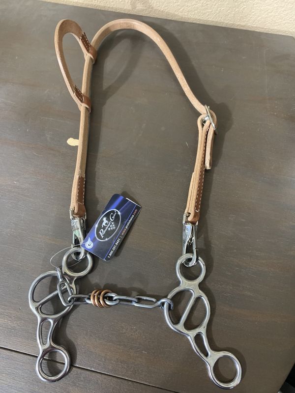 Gag Bridle Set Chain w/CR