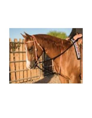 AD Draw Rope Martingale