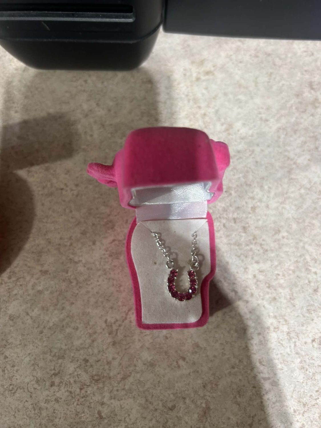 Horseshoe Necklace in Box