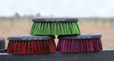 Small Short Bristle Poly Brush