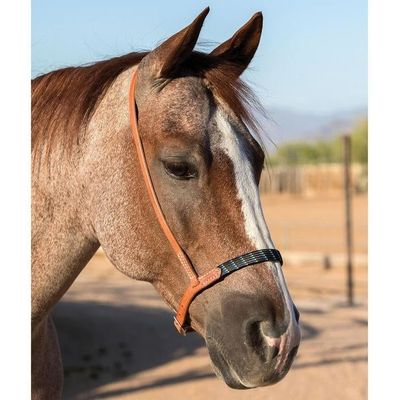 AD Caveson Black Elastic Nose