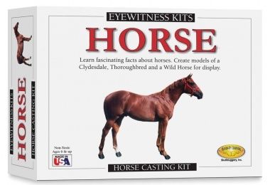Horse Mold &amp; Paint Activity Kit - 3 breeds