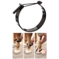 Pawing Anklet Average Horse