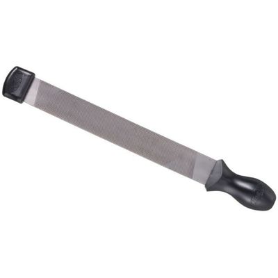 Rasp w/handle and tip